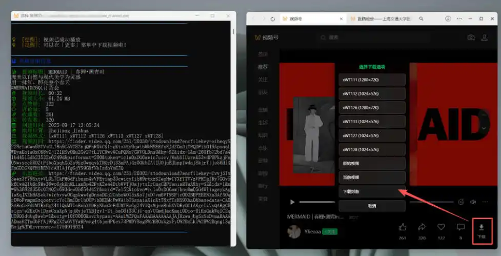 Github热门工具，视频号下载神器又来了！一键注入下载按钮，轻松下载，使用便捷wx_channel