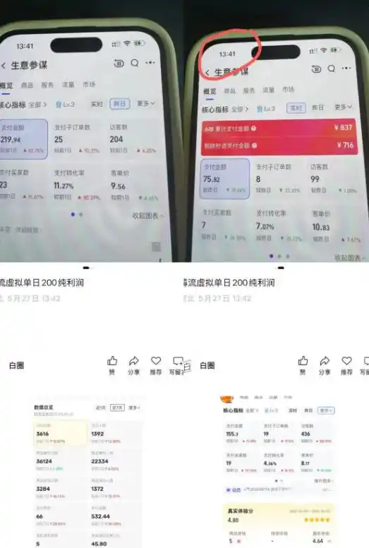 薅流虚拟2.0陪跑课,0成本AI流程化操作,淘宝+闲鱼同步玩法,上一次货两个平台有收益,单店每天200纯利润